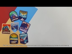 Tessuto su ordinazione della saia della toppa ricamato colore sveglio di sig. Wolf 5 con il confine del ricamo