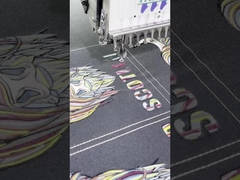 Ricamo Iron On Bag Toppe Lavabili PMS Colori personalizzabili